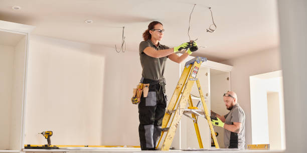 Best Electric Panel Repair  in Lansdowne, MD